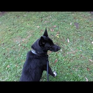 Meet your Posher, Ava